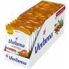 Verbena Rakytník 60 g
