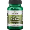 Swanson Moringa Olejodárná Moringa Oleifera 400 mg 60 kapsúl