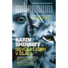 Dievča s ľadom v žilách - Karin Smirnoff