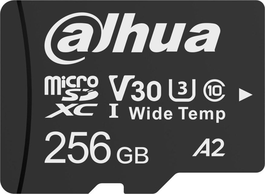 Dahua MicroSDXC Class 10 256 GB TF-W100-256GB