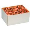 Mlsoun Rollos lososové 2 kg