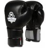 Boxerské rukavice DBX BUSHIDO B-2v9 12oz.