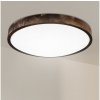 | Brilagi - LED stropné svietidlo CARVALHO SLIM SMOKEY LED/36W/230V dub pr. 47,5 cm | LD.PD-8.3