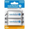 everActive D 10000 mAh 2 ks EVHRL20-10000