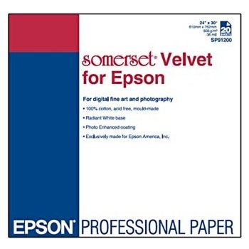 Epson C13S041699