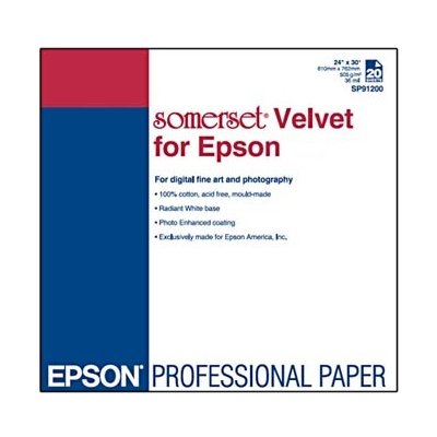 Epson C13S041699