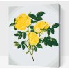 Vymalujsisam.sk Maľovanie podľa čísiel - Divoké žlté ruže Veľkosť: 30x40cm, Rám: Na kartónovej doske