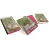 Bonnard. Coffret l'essentiel