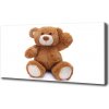 Moderný obraz canvas na ráme Plyšový medvedík 100x50 cm