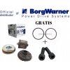 BorgWarner 120456 olejový filter diferenciálu