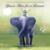 You're Here for a Reason (Nancy Tillman)()