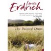 Painted Drum (Louise Erdrich)(Brožovaná)
