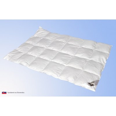 Termop paplón Excelent celoročná perie/páper 200x200
