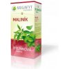 MEGAFYT Bylinková lekáreň Maliník 20x1,5mm g