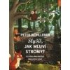 Slyšíš jak mluví stromy? Co všechno můžeš objevit v lese - Wohlleben Peter
