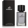 Burberry Mr. Burberry toaletná voda pánska 100 ml