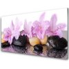 Obraz plexi Kvet kamene rastlina 100x50 cm