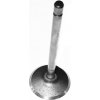Ventil sací Dinli E130014-00 SDL270-166
