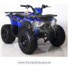 TaoTao Štvorkolka Tao Hunter 125ccm 8
