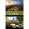 Šumava (Jan Hocek)
