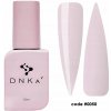 DNKa’ Liquid Acrygel Cassiopeia 0050 12 ml