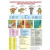 Stručný prehľad anglickej gramatiky