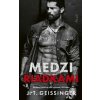 Medzi riadkami - J. T. Geissinger