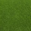 Najkoberce Umelá tráva PRESTON NEW 200 cm