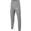 Nike Park 20 Fleece Jr CW6909 071