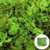 Mach prepar. APPLE GREEN 250 g