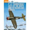P-47 Thunderbolt Aces of the Ninth and Fifteenth Air Forces