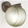 SIRU | SIRU - Nástenná lampa FLORET 1xE14/40W/230V hnedá/šedá benátske sklo | SU0008