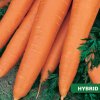 Semená: Mrkva neskorá CORTINA F1
