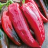 Paprika Corno di Toro Rosso - sladká - SEMIENKA