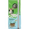 VERSELE-LAGA Crispy Muesli Rabbit 20 kg krmivo pre zakrpatené králiky