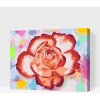 Vymalujsisam.sk Maľovanie podľa čísiel - Ruža na farebnom pozadí Veľkosť: 40x50cm, Rám: Na kartónovej doske