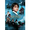Plagát, Obraz - Harry Potter - Kameň mudrcov, 26.7 × 40 cm
