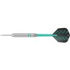 Šípky TARGET steel 24g Rob Cross Silver Voltage, BRASS