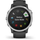 Garmin fenix6S Glass