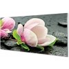 Obraz plexi Magnolia kamene 100x50 cm