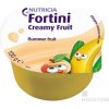 Fortini Creamy Fruit MF letní ovoce por sol 4 x 100 g