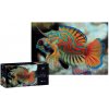 Interdruk Colourf.Nature Mandarinfish 250 dielov