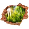 Samolepiaca diera na stenu Forest na slnku 90x70 cm