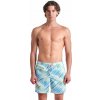 Pánske šortky arena Men's Allover Beach Boxer green veľkosť M