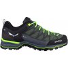 Pánska outdoorová obuv Salewa MS MTN Trainer Lite Gtx Myrtle/Ombre Blue UK 10