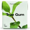 True gum Žuvačky bez cukru s príchuťou mäty 21 g