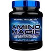Scitec Nutrition Amino Magic 500 g, Balenie 500 g, Príchuť pomaranč