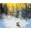 zuty Maľovanie podľa čísel - Líška v zasneženom lese, 80x100 cm, vypnuté plátno na rám (8596530055556)