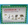 Spoločenská hra Kraftika Voltík - obsahuje 1 Voltik toys