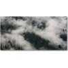 Foto obraz akrylový na stenu Hmla nad lesom 100x50 cm
